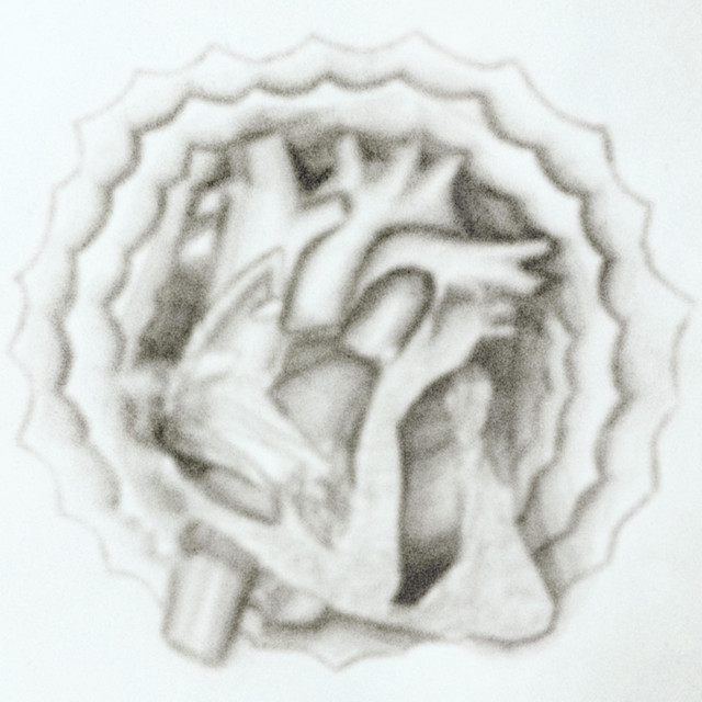 Cardiocontrol cover art