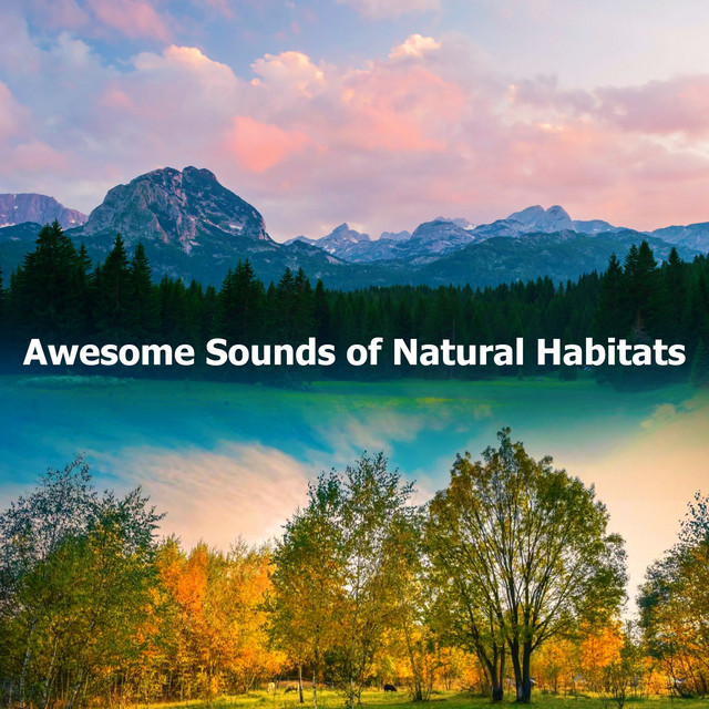 Awesome Sounds of Natural Habitats - Album by The Relaxing Sounds of ...