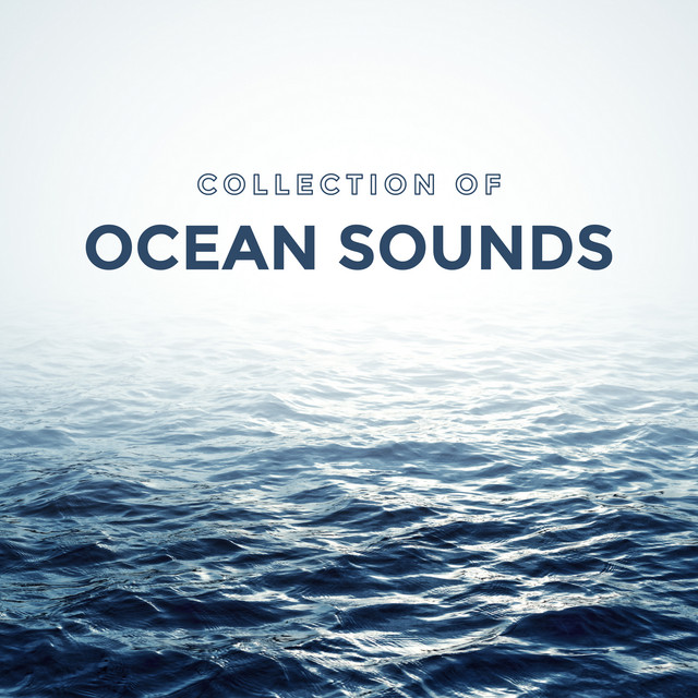 Collection of Ocean Sounds - Album by Ocean Waves For Sleep | Spotify