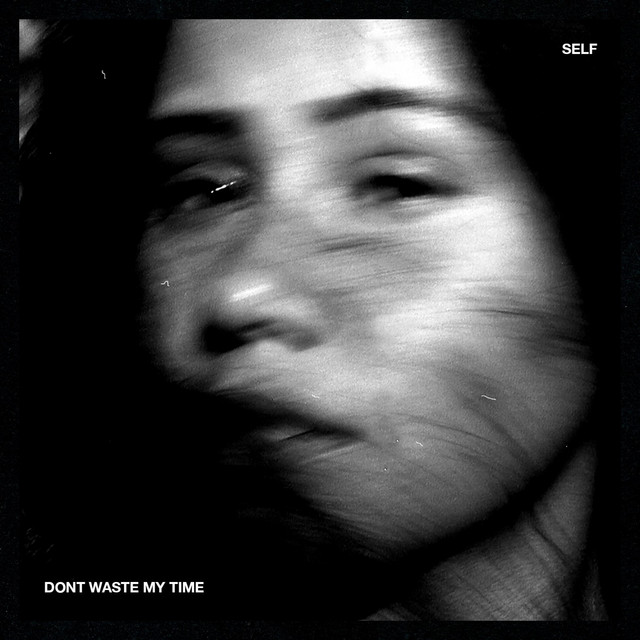 Cover art: Don't Waste My Time — SELF