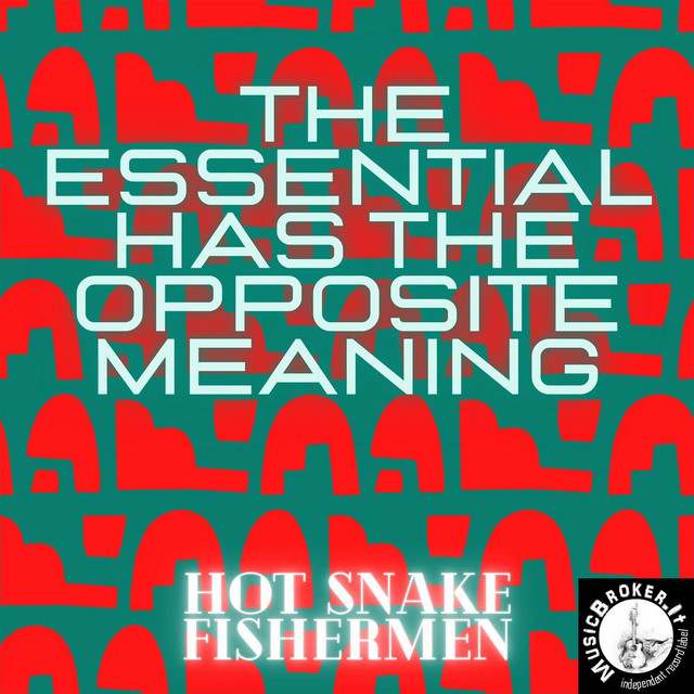 The essential has the opposite Meaning cover art