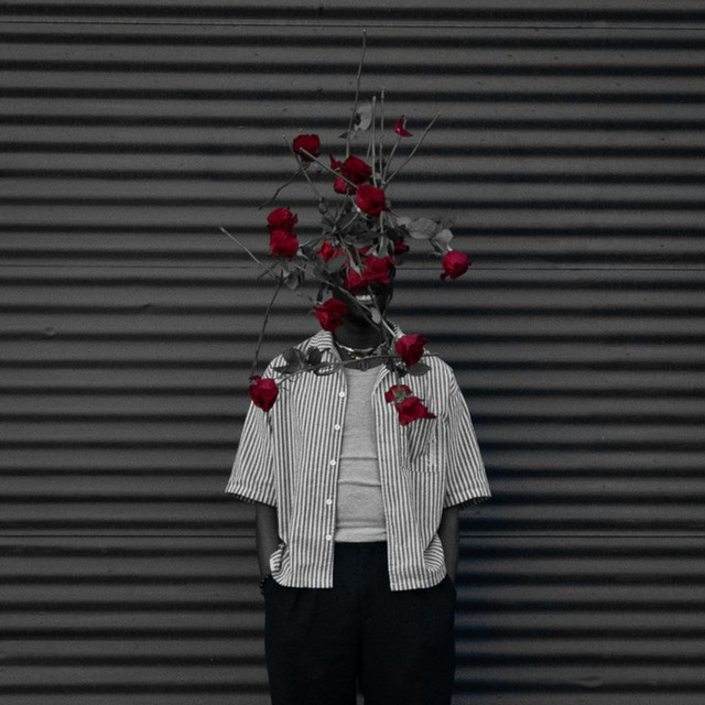 Like The Idea cover art