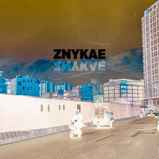 Cover art: Znykae — French Cinema