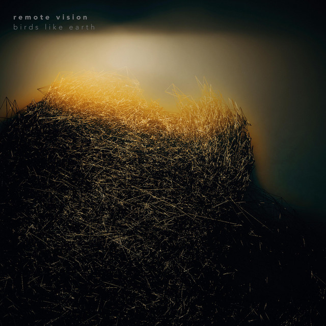 Birds Like Earth cover art
