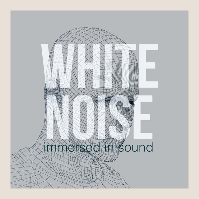 White Noise: Immersed in Sound