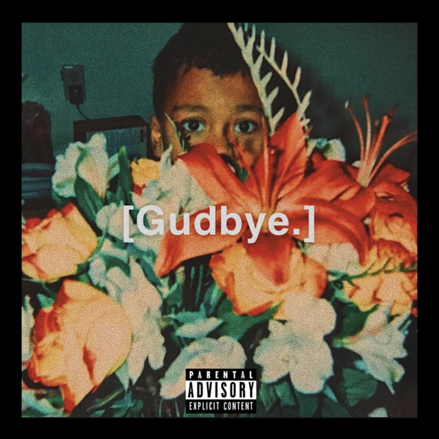 Gudbye. cover art