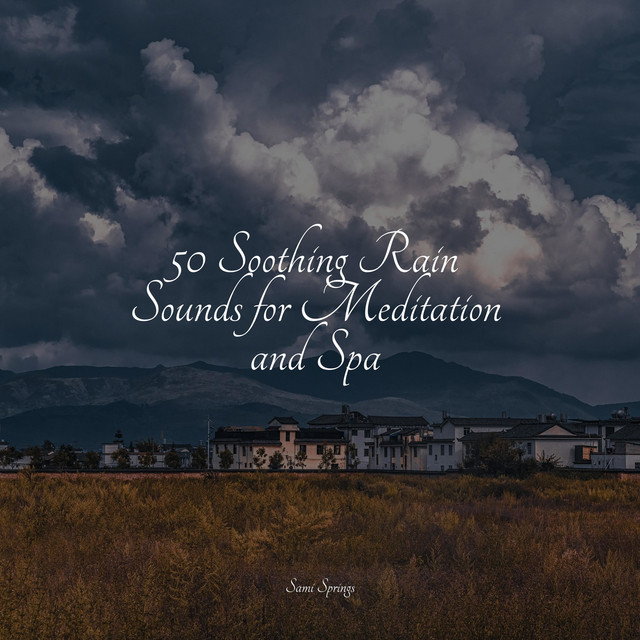 50 Meditation, Spa and Sleep Rain Sounds - Album by Egyptian Meditation ...