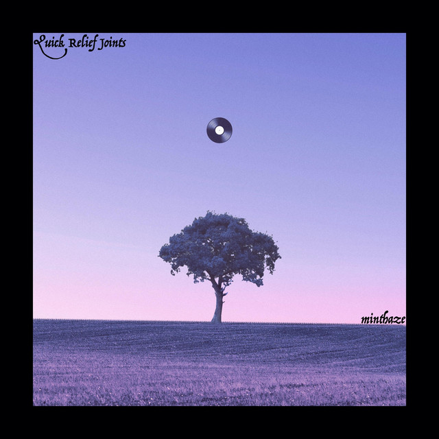 Quick Relief Joints cover art