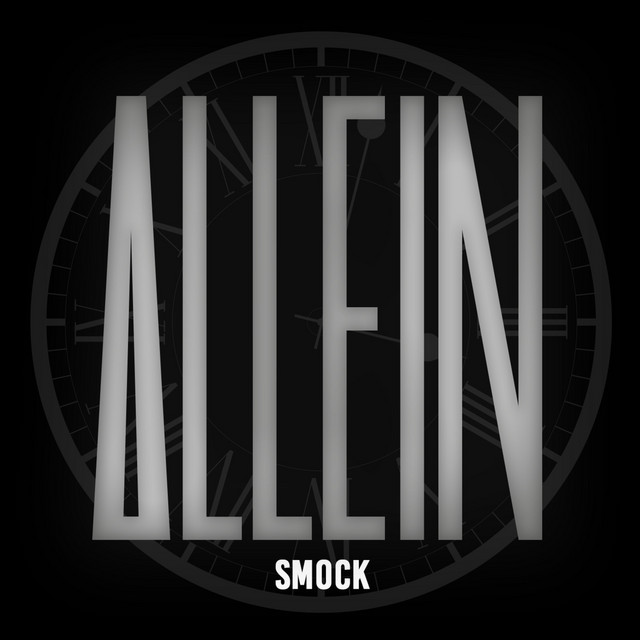 Allein cover