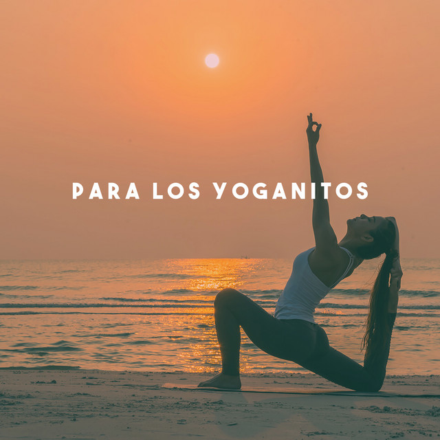 Para Los Yoganitos cover art