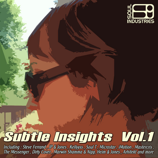 Subtle Insights, Vol. 1 cover