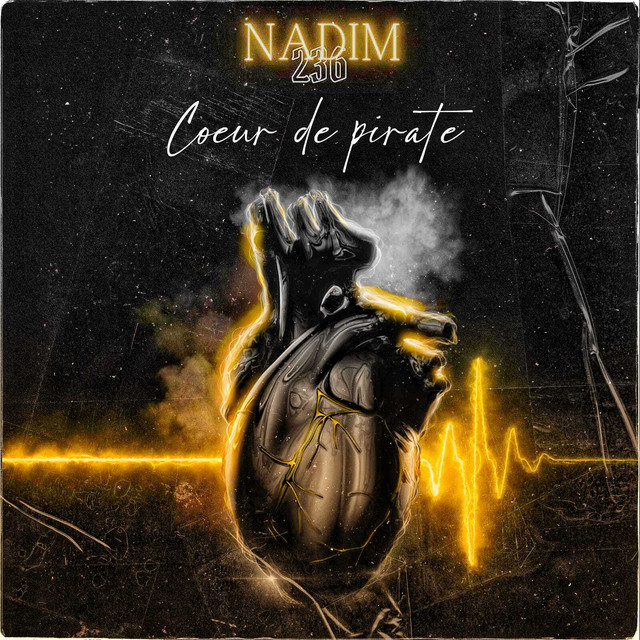 Rose noire – nadim236