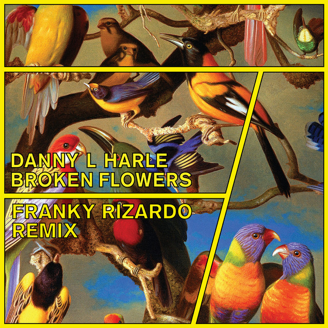 Broken Flowers - Franky Rizardo Remix