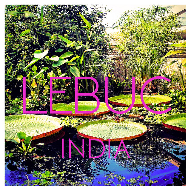 India - LeBuc