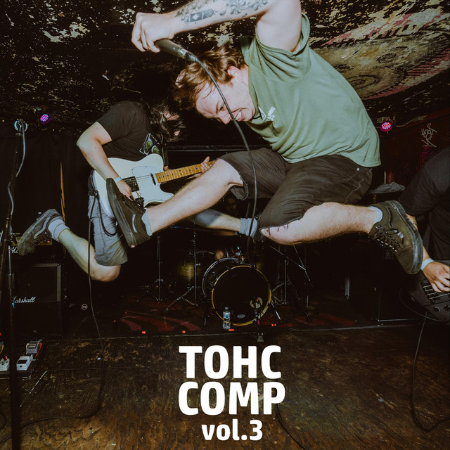 T O H C Comp, Vol. 3 cover art