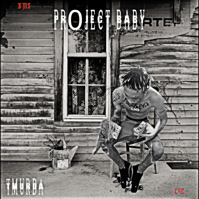 Pr0ject Baby cover art