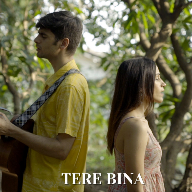 Tere Bina cover