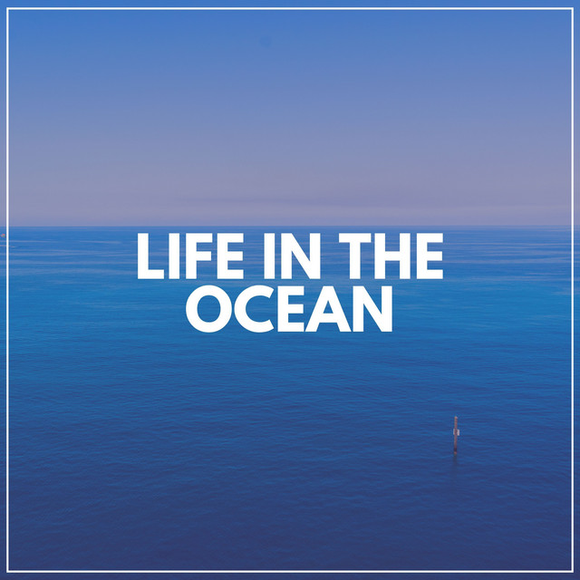 Life in the Ocean cover art