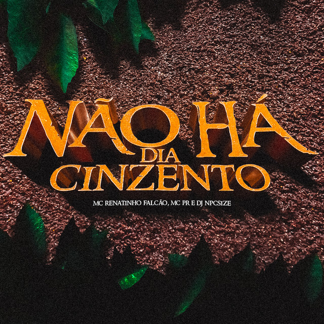Não Há Dia Cinzento album image
