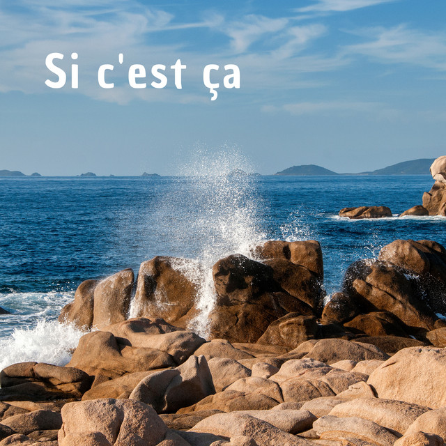Si c'est ça cover art