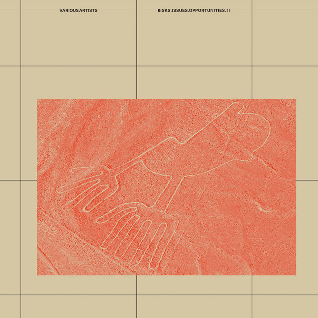 Risks Issues Opportunities 2 cover art
