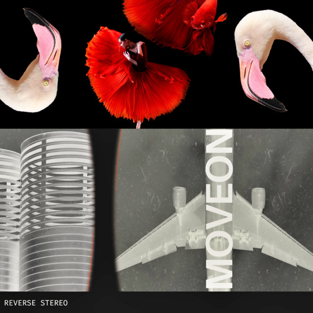 Reverse Stereo – Moveon