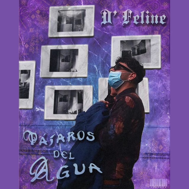D'Feline