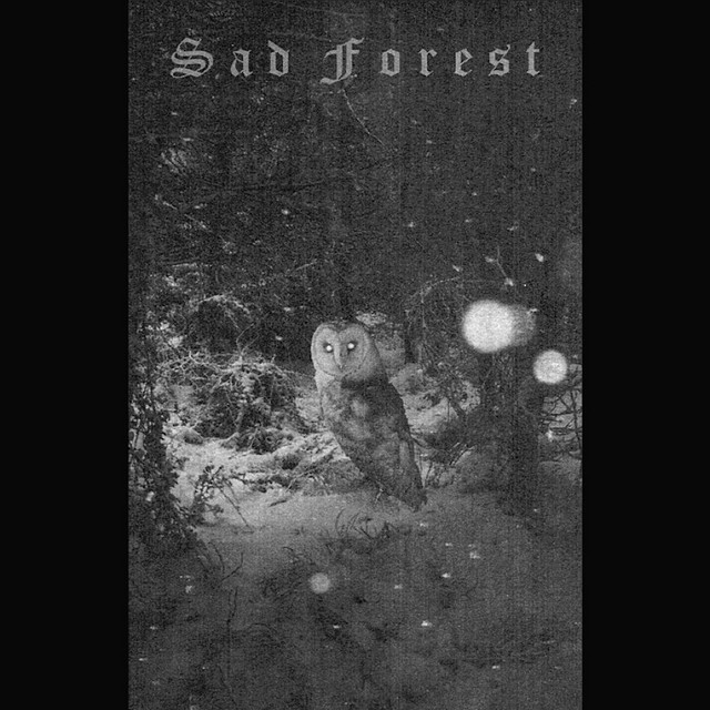 The Winter Ghost cover art