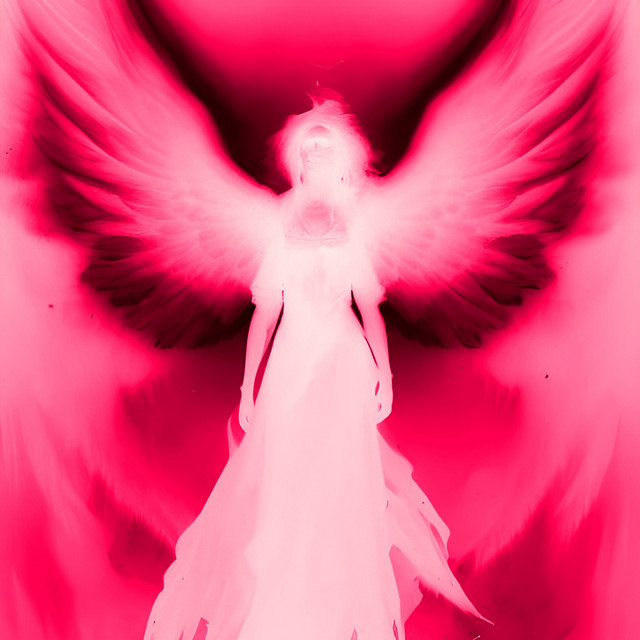 blush cover art