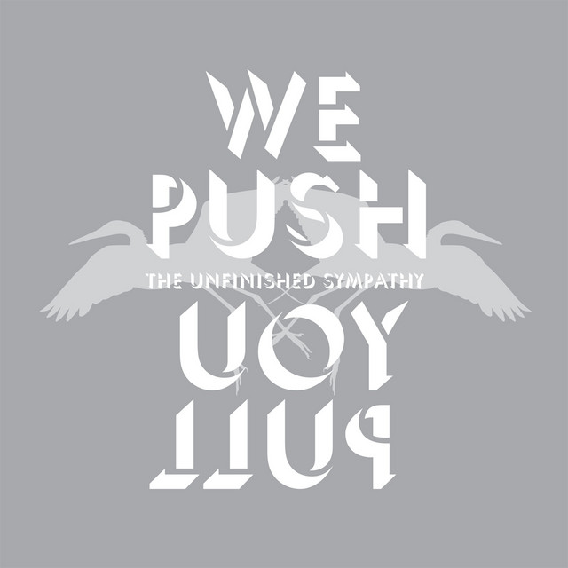 We Push You Pull cover
