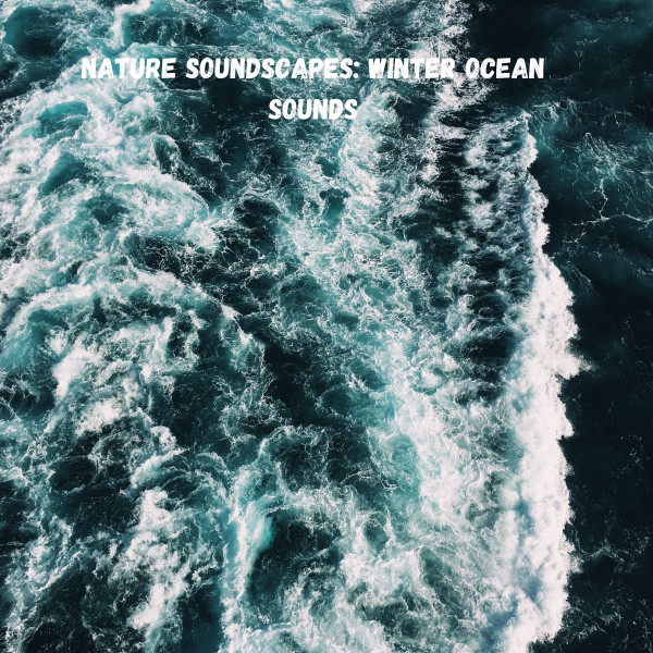 Nature Soundscapes: Winter Ocean Sounds cover art