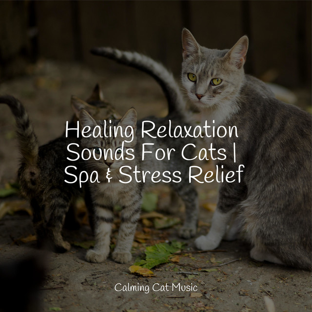 Thumbnail for Healing Relaxation Sounds For Cats Spa And Stress Relief Album By Music For Cats Ta