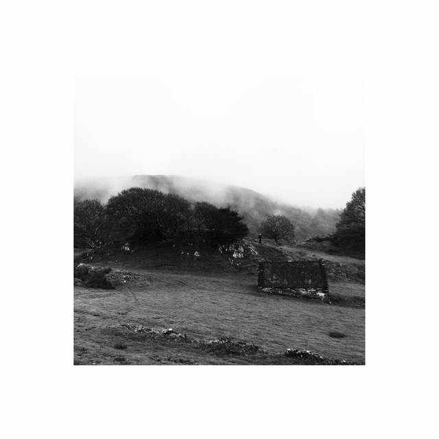 Together in Isolation (Live) cover art