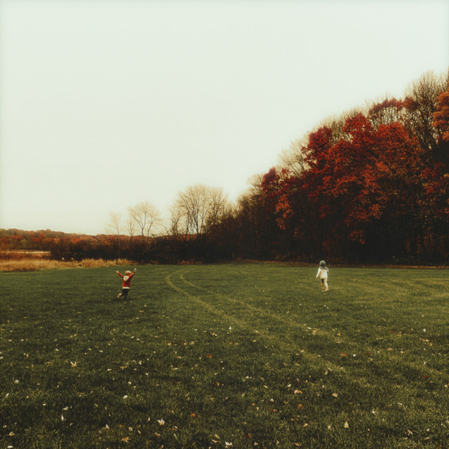 Cedar Grove cover art