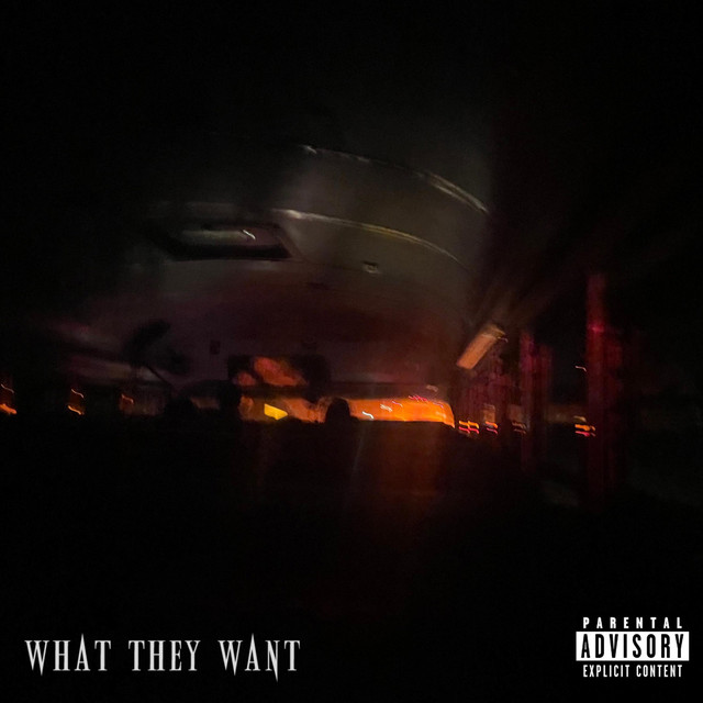 What They Want cover art