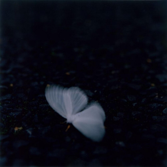 aura cover art