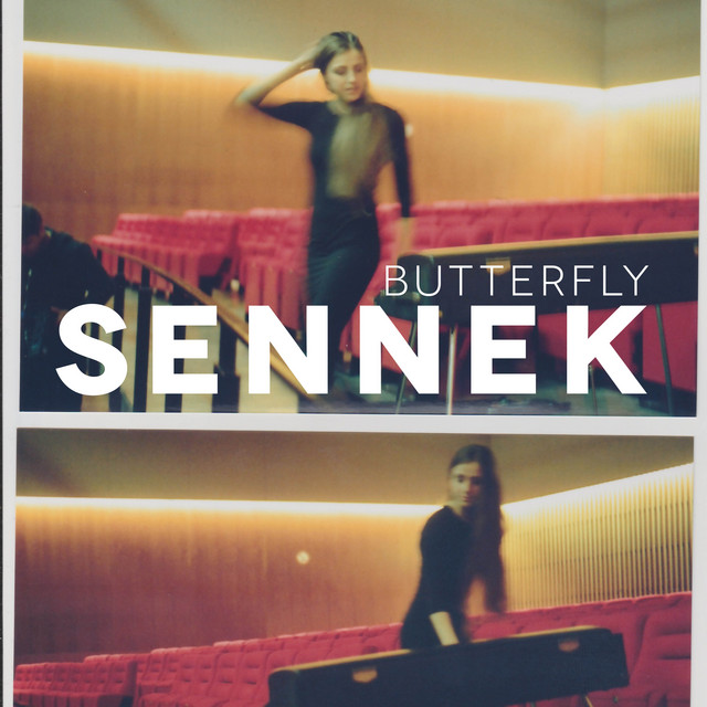 Butterfly (Live) cover