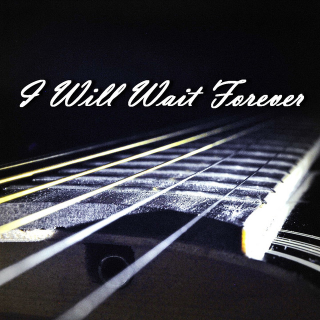 Обкладинка: I Will Wait Forever — Роман Полонський