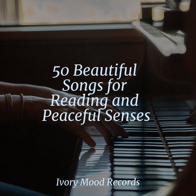 50 Beautiful Songs for Reading and Peaceful Senses - Album by SD | Spotify