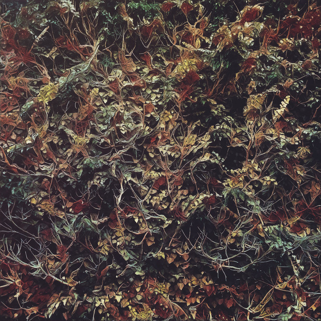 Trouble cover art