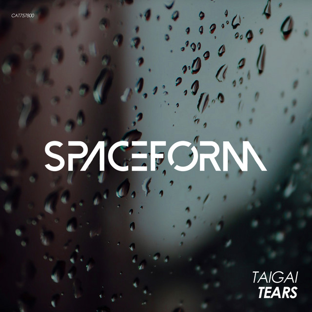 Обкладинка Taigai — Tears