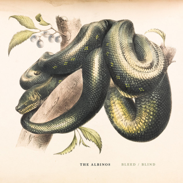 undefined album image