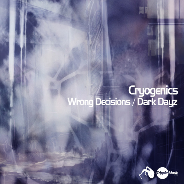 Wrong Decisions artwork