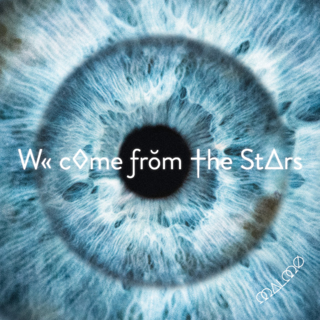 We Come From the Stars cover art