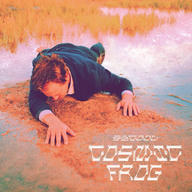 Cosmic Frog cover art