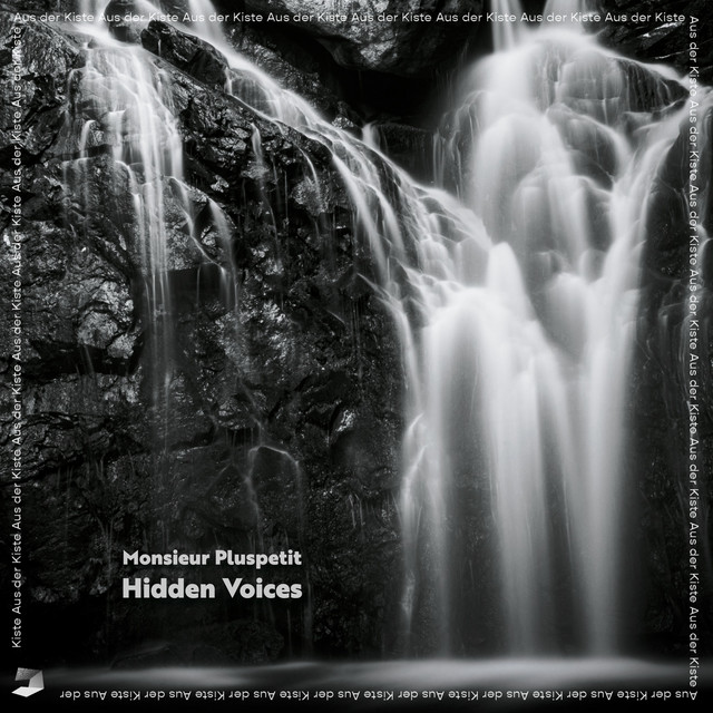 Hidden Voices