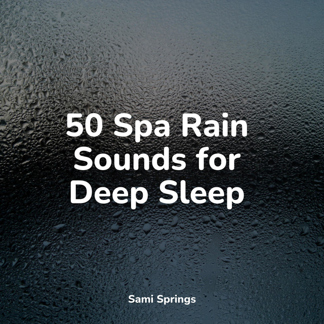 50 Spa Rain Sounds for Deep Sleep - Album by Ambient Nature White Noise ...