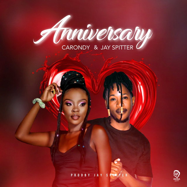 Anniversary album image