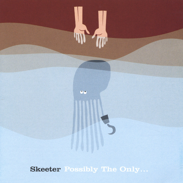 Possibly The Only... cover art