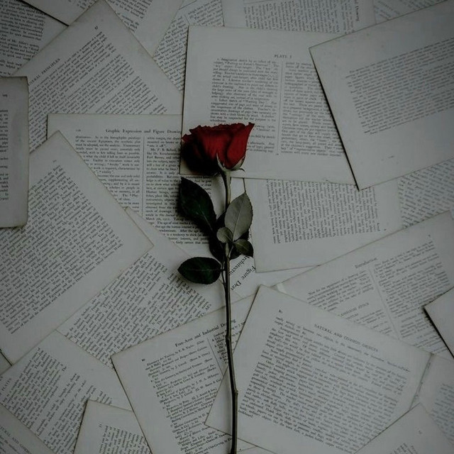 Valentines (freestyle)
